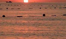 我爱美丽的大海