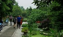 我爱美丽的大自然