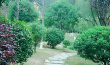 铺满青石的小路