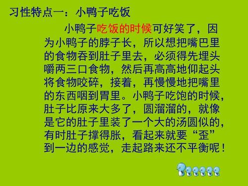 我喜欢动物的四年级作文