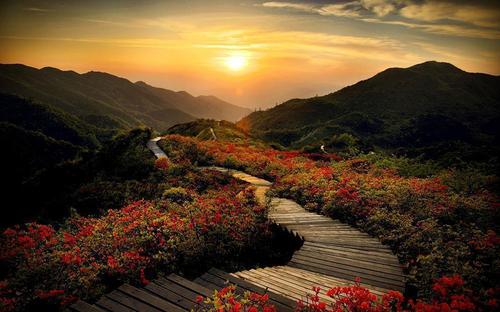 美丽的大围山