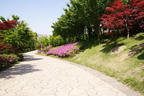 公园风景