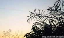 别让荆棘划破了你的天空