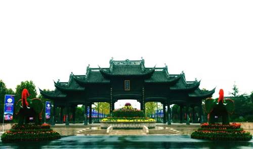 寻找家园