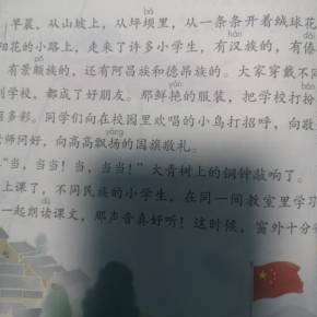 大绿树下的小学模仿