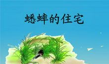 蟋蟀的住宅