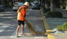 默默无闻的它们