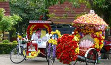 春节观花车巡游