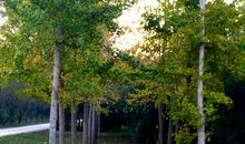 转出秋天的风采