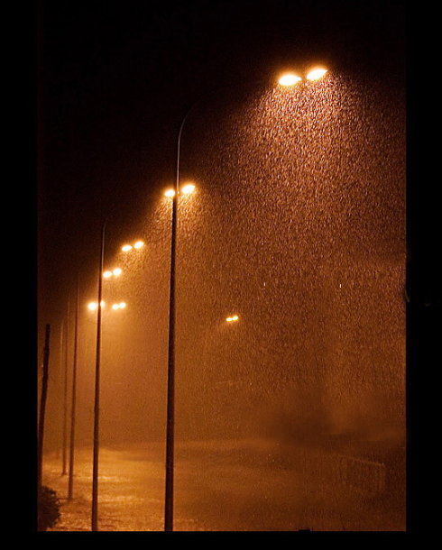 望得远，在雨中