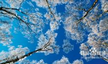 那是一次值得的尝试