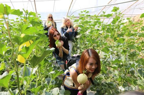 我用眼睛看春天