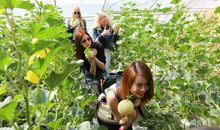 我用我的眼睛看春天