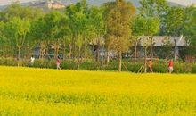 这画面令我难忘