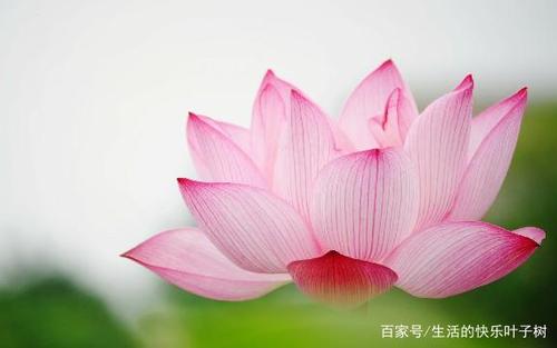 面带微笑面对困难