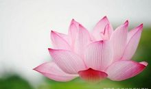 用微笑面对困难