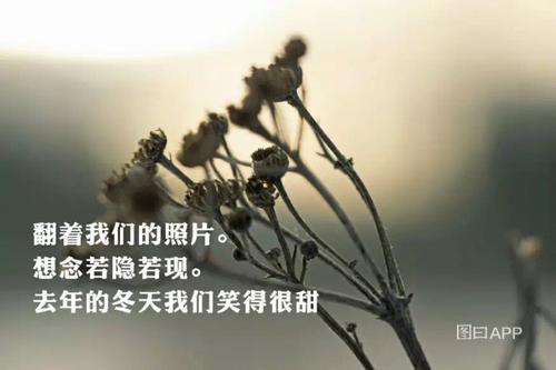 想起那个雨天