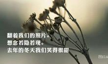 想起了那个雨天