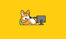 我最重要的东西是什么