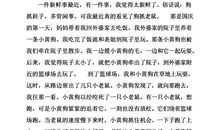 我们班的新鲜事