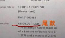 给动物们的一封致谦信