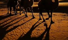 走出自己的步伐