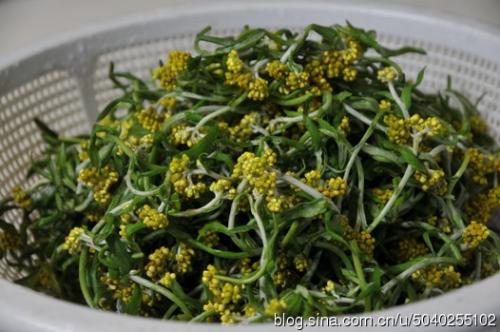 清明味