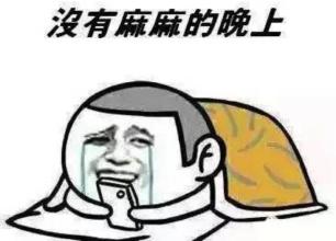 来访的朋友