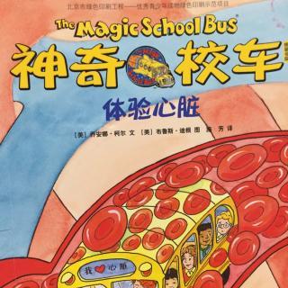 魔术校车之旅
