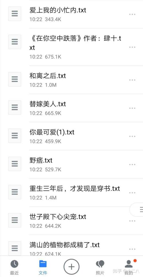我本可以拒绝