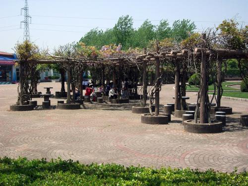 上海野生动物公园之旅