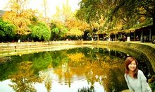 美丽如画的校园