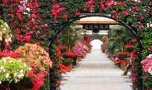 游玩盘龙大观园