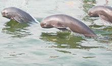 请留住共享资源的笑脸