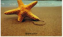 每天改变一点点