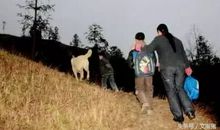 生病中悟得父爱