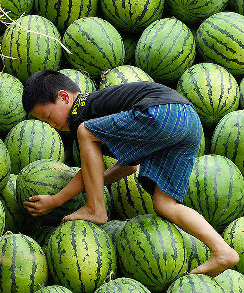 移动西瓜
