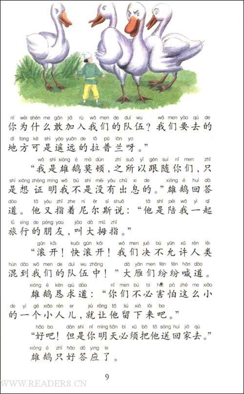 关于鹅旅行的思考