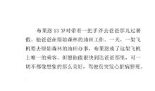 手斧男孩读后感