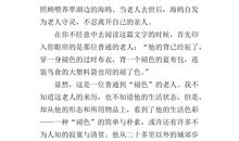 老人与海鸥读后感