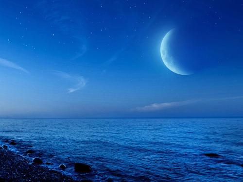 迷人的月夜