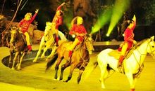 观看长隆国际大马戏