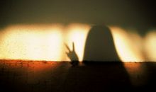 你是我的一束光