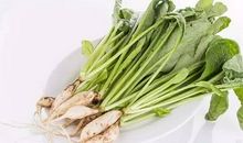 那株山药竟与我有关