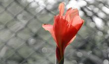 多层角度多彩人生