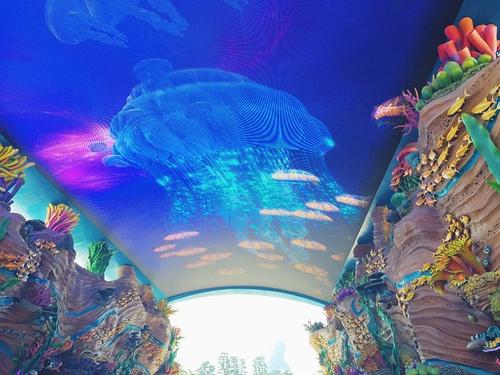 长龙海洋王国考察团