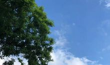 我发现了天空的秘密