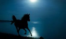 爱在月光下温柔