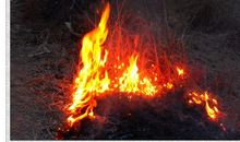 年味是冬天里的一把火