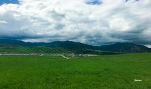 今天我被感动了